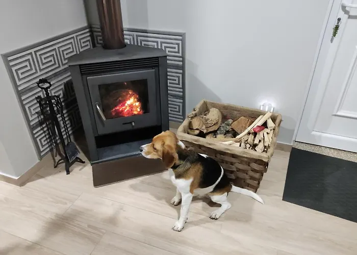 度假居 Casa Da Eirinha - Azibo 马塞杜-迪卡瓦莱鲁什