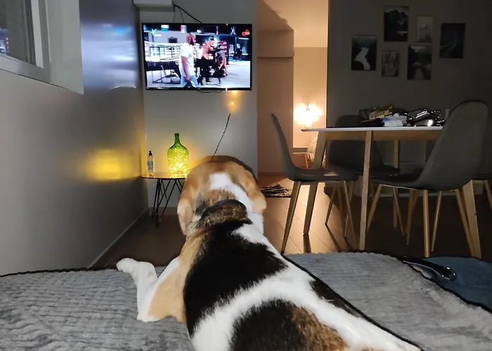 Casa Da Eirinha - Azibo Feriehus